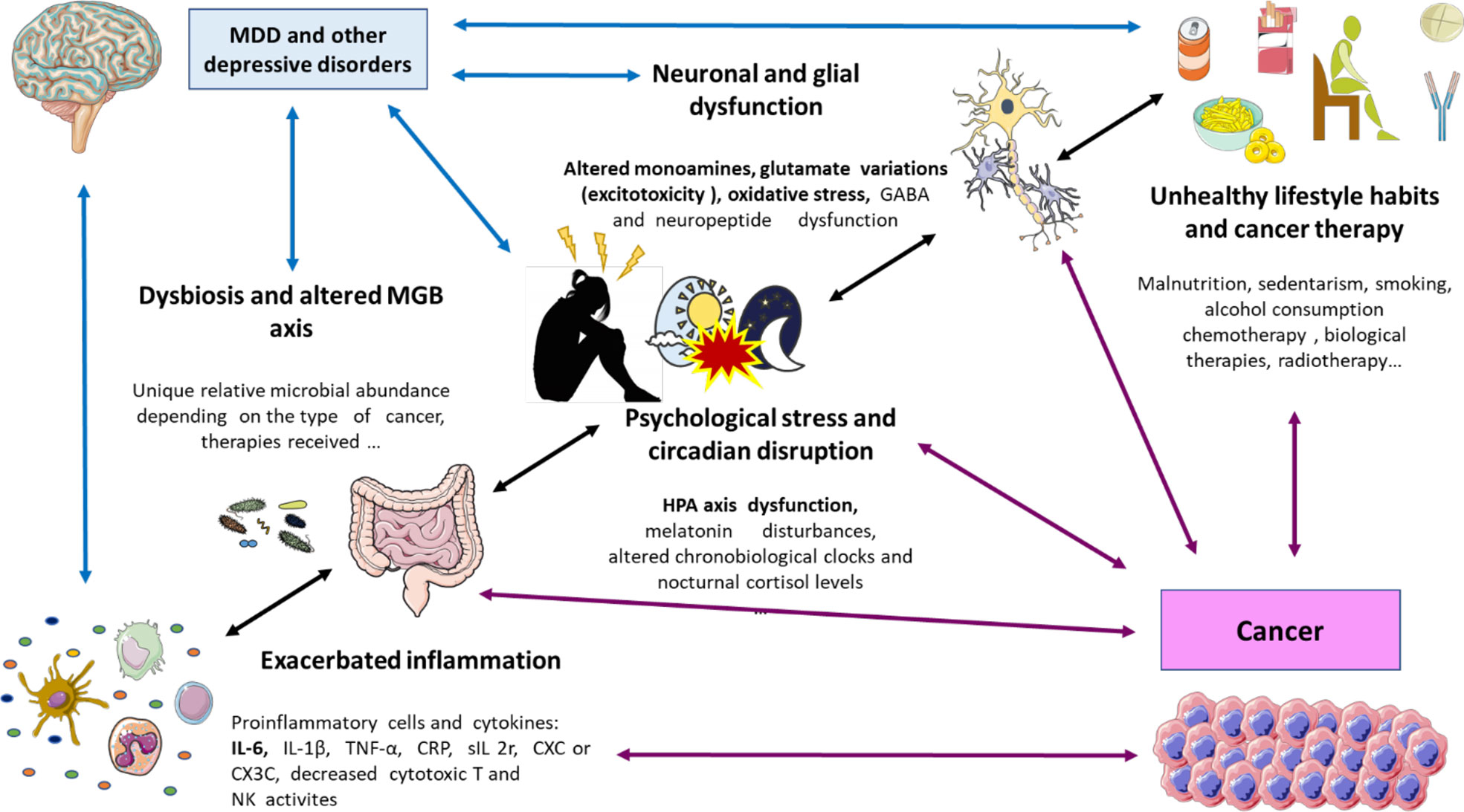 Frontiers Understanding The Basis Of Major Depressive Disorder In 