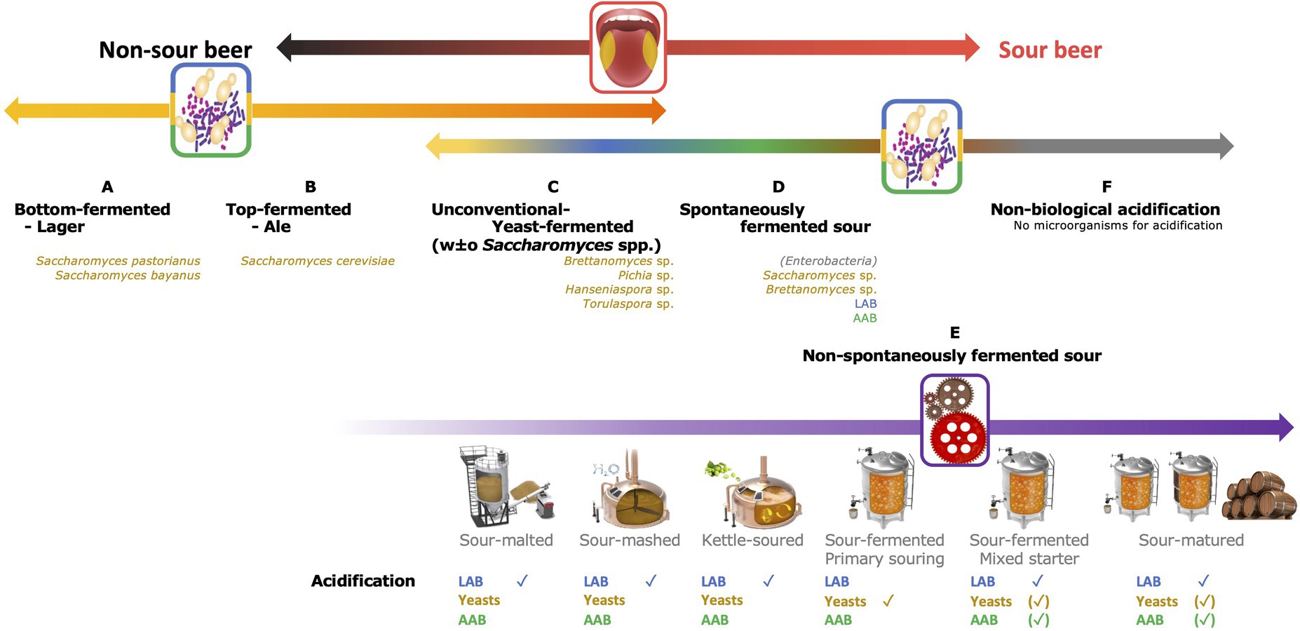 Beer yeast extract carbon oxygen nitrogen hydrogen content