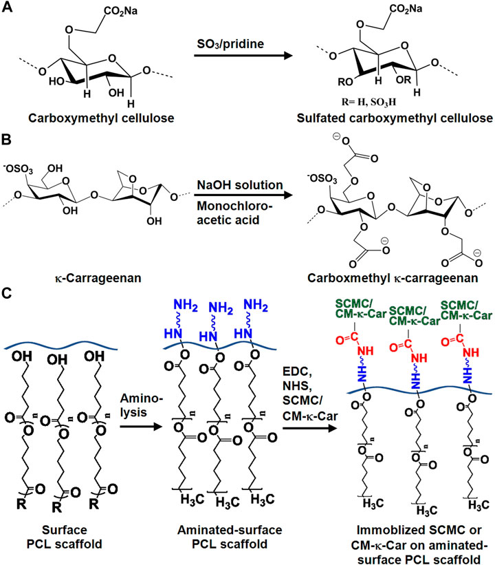 Frontiers  The Role of Carrageenan and Carboxymethylcellulose in