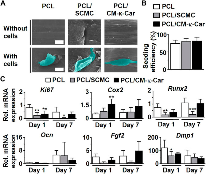 Frontiers  The Role of Carrageenan and Carboxymethylcellulose in