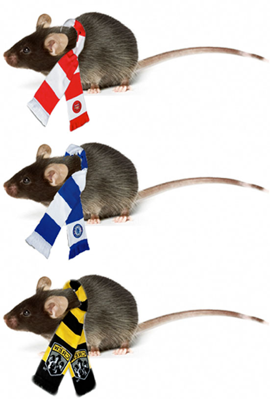 www.frontiersin.org
