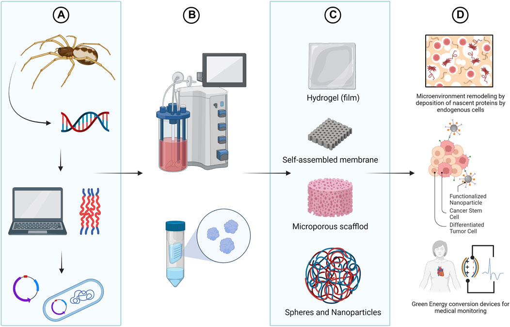 Bioengineering, Free Full-Text