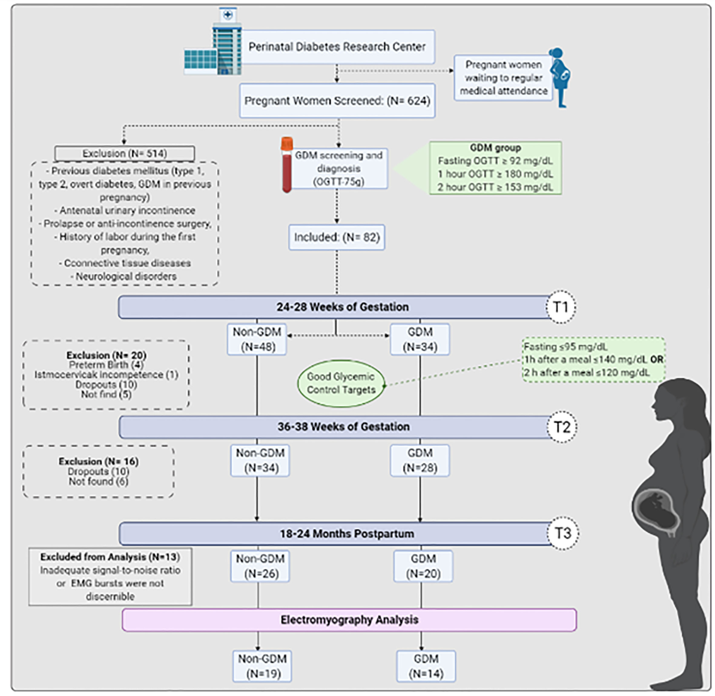 Frontiers  Gestational diabetes is associated with alteration on pelvic  floor muscle activation pattern during pregnancy and postpartum:  Prospective cohort using electromyography assessment