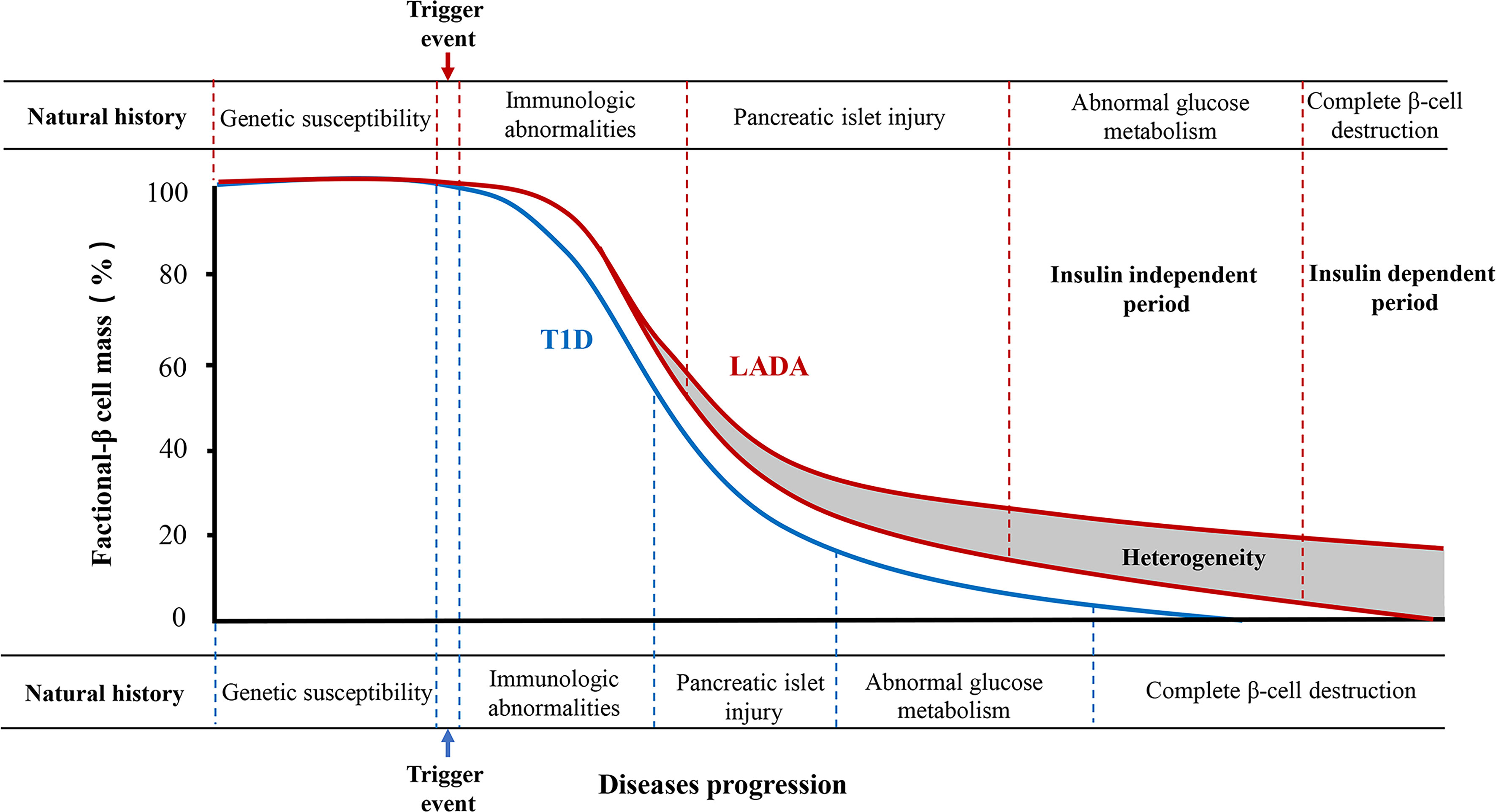 Latenter Diabetes Mellitus: Ein stiller Feind, der nicht unterschätzt werden sollte