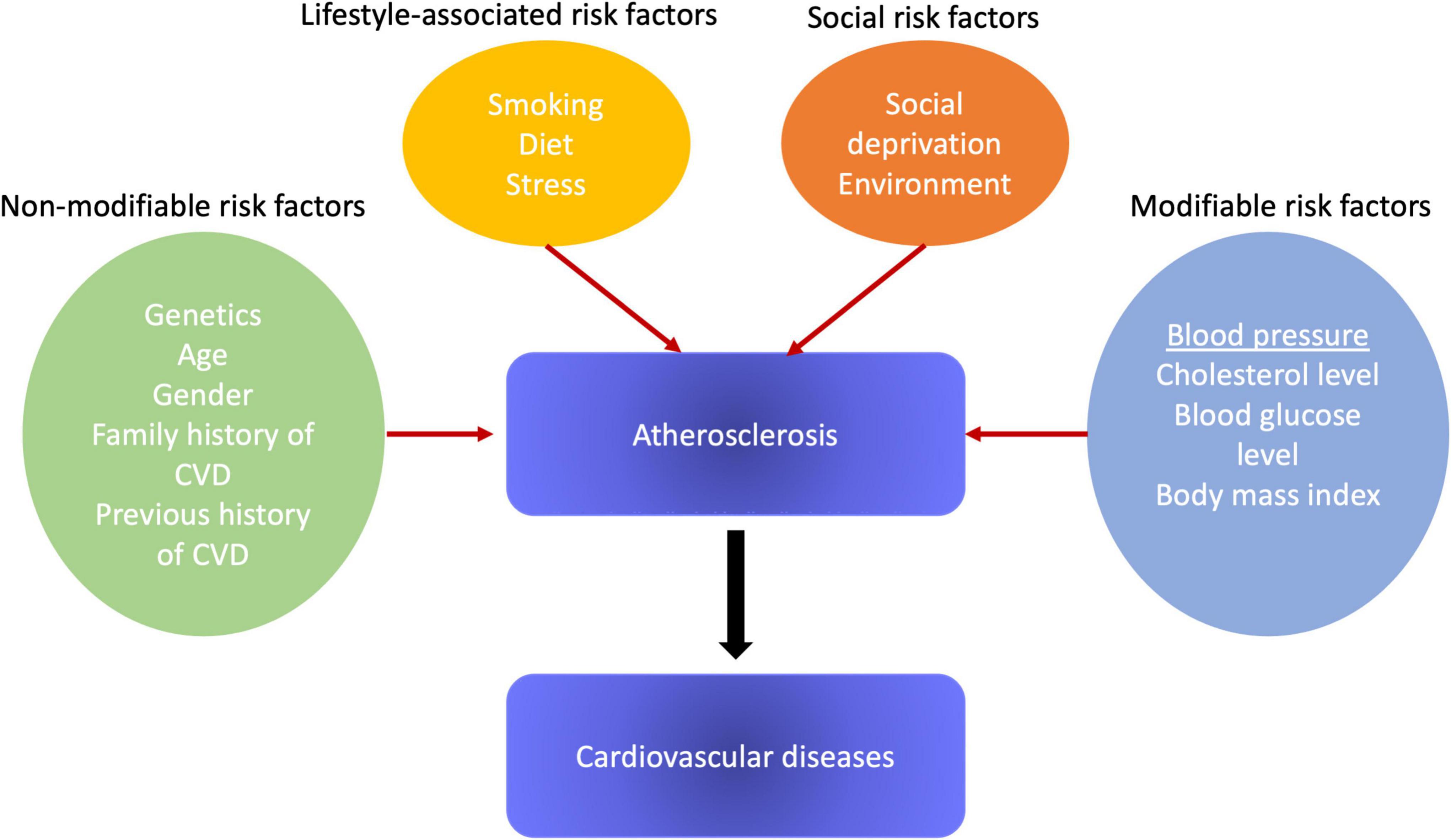 PDF) I Brazilian Guidelines for cardiovascular prevention