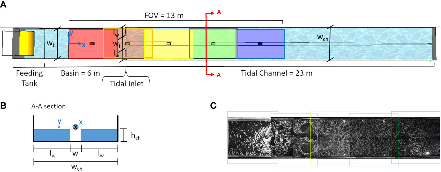 Frontiers | Periodic Lagrangian Coherent Structures around a tidal inlet