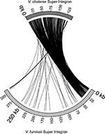 www.frontiersin.org