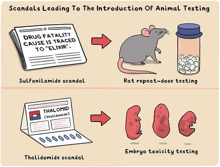 Figure 1 - Scandals leading to the introduction of animal testing.