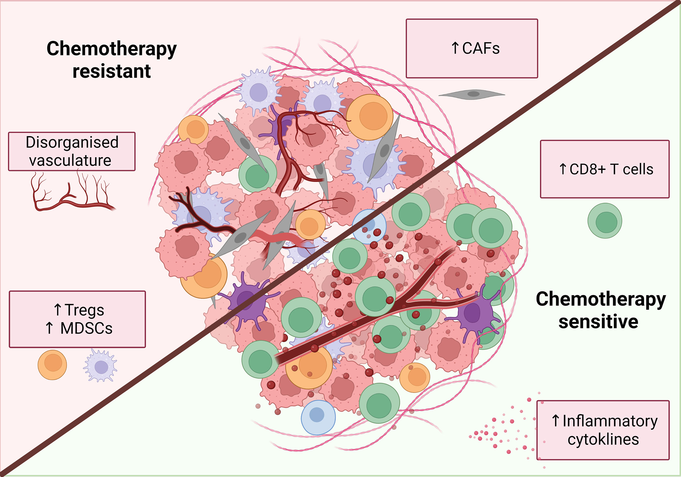 thesis cancer chemotherapy