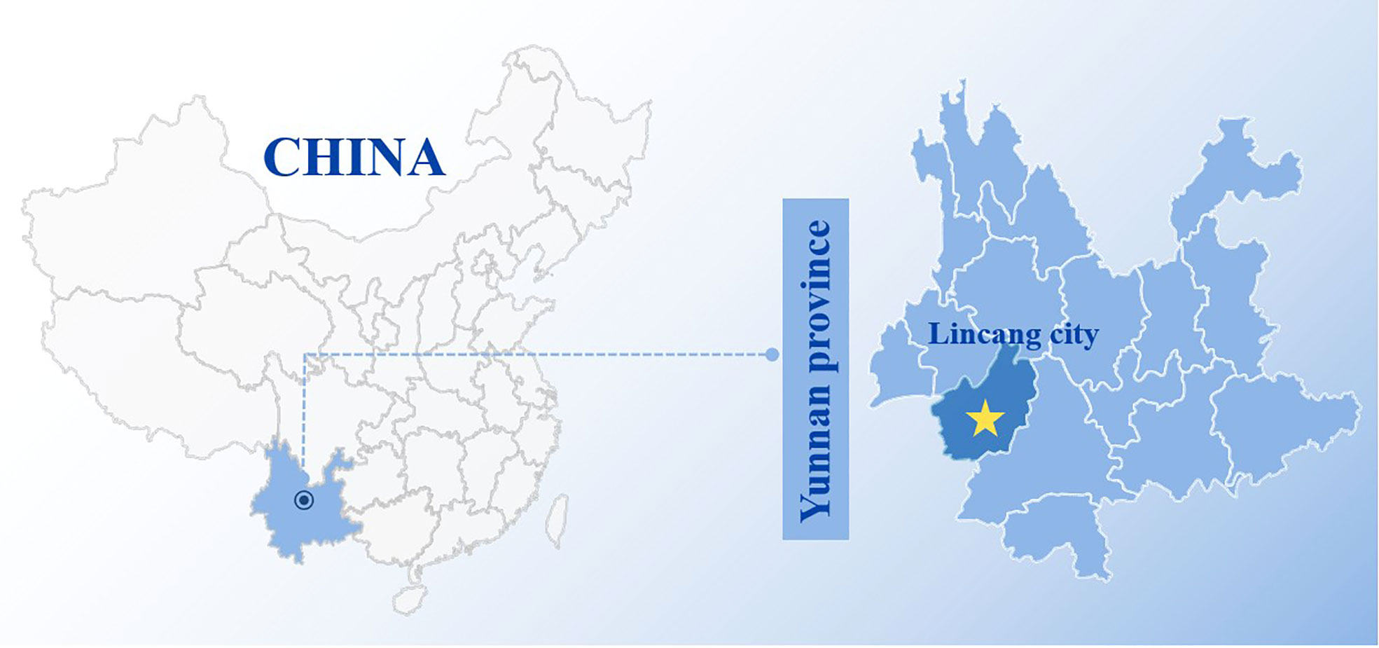 www.frontiersin.org