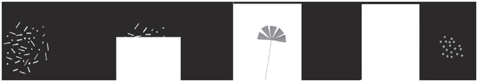 www.frontiersin.org