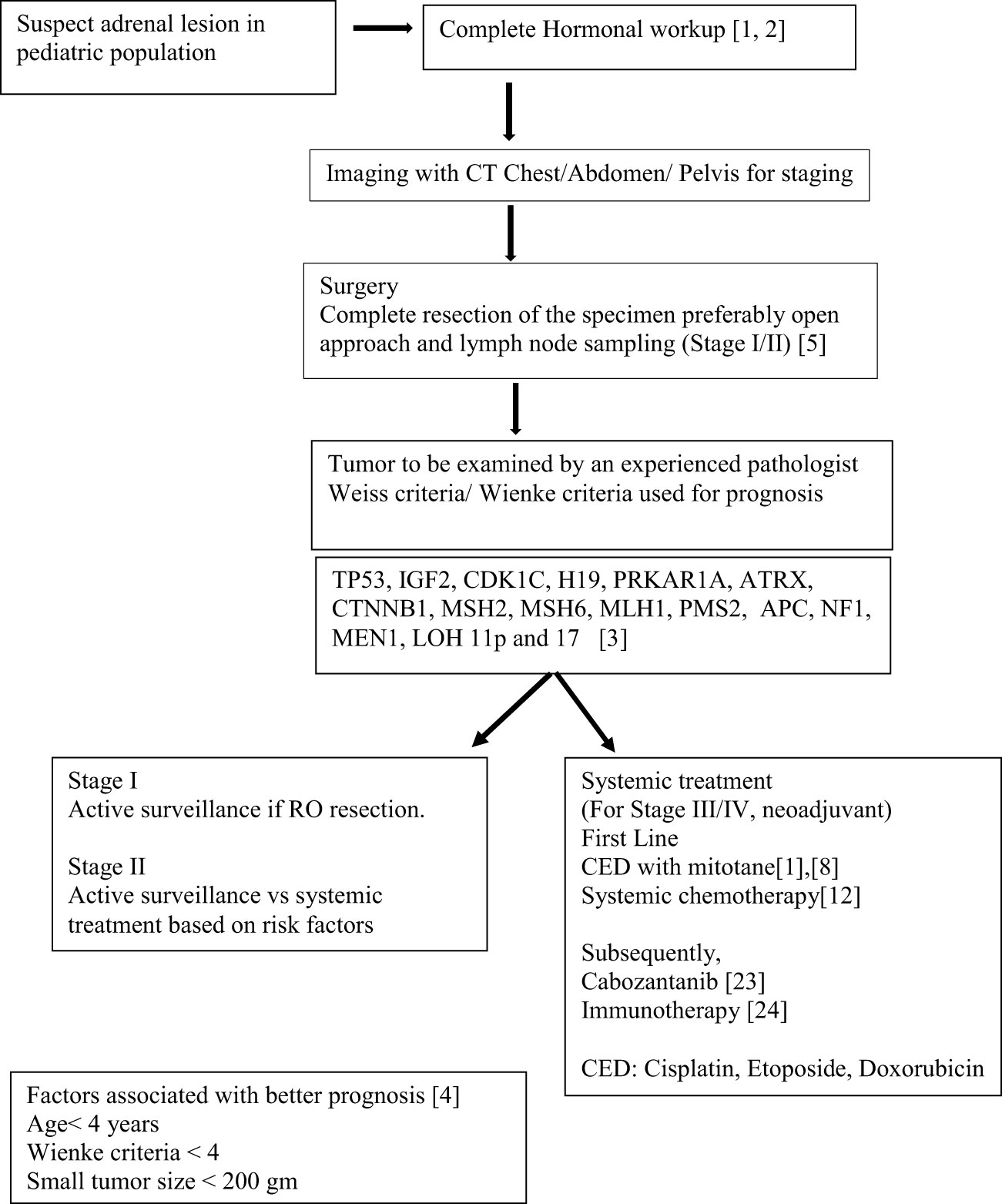 Advances in translational research of the rare cancer type adrenocortical  carcinoma