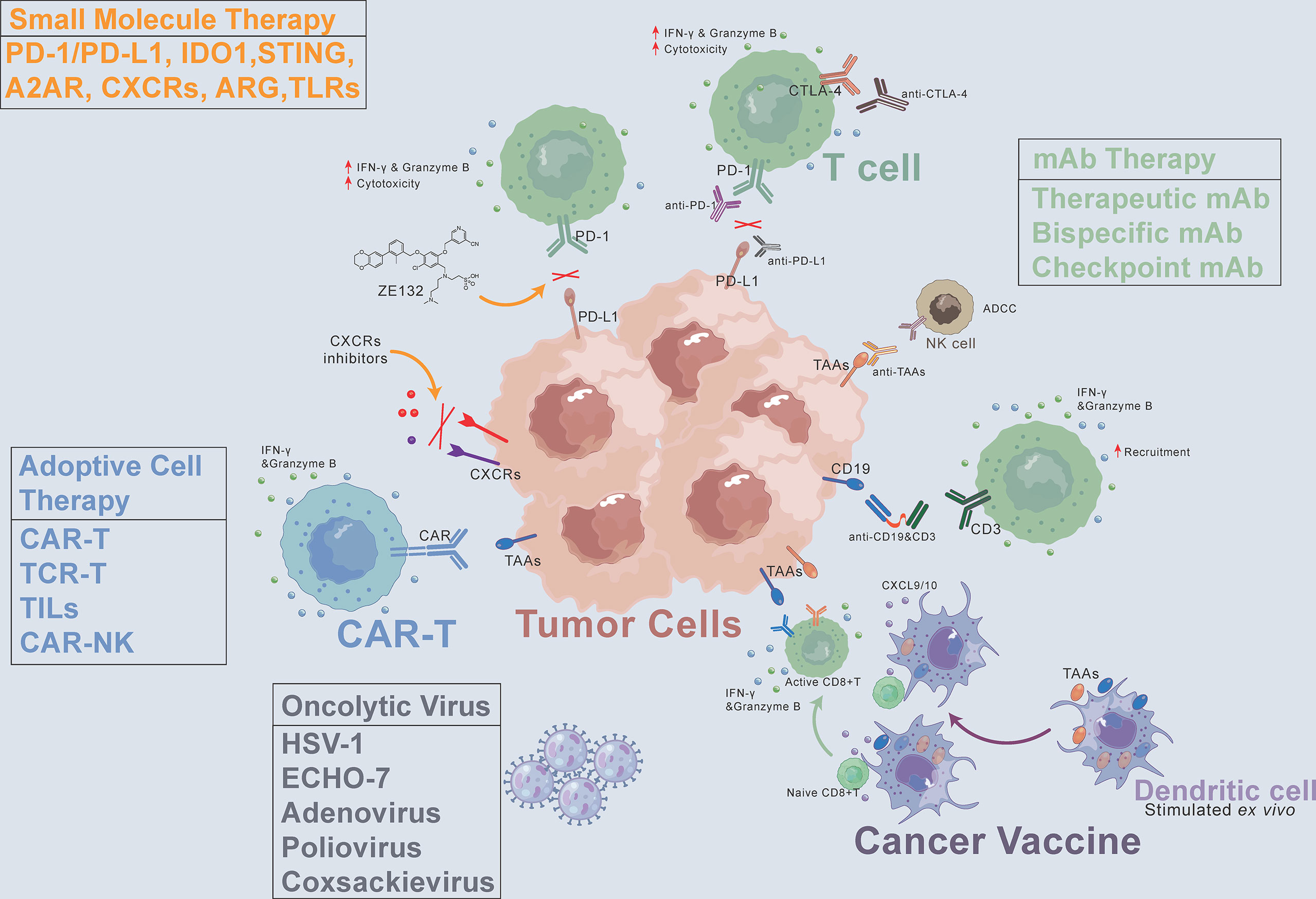 recent research on cancer immunotherapy