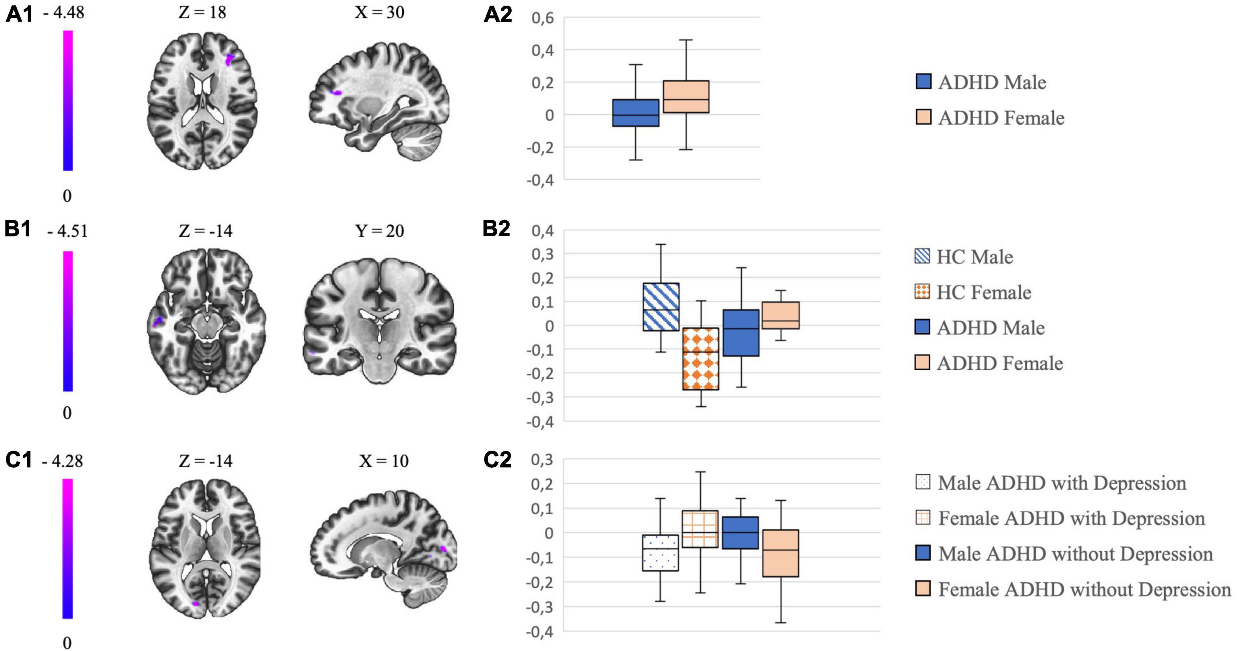 Frontiers Sex-related differences in adult attention-deficit hyperactivity disorder patients