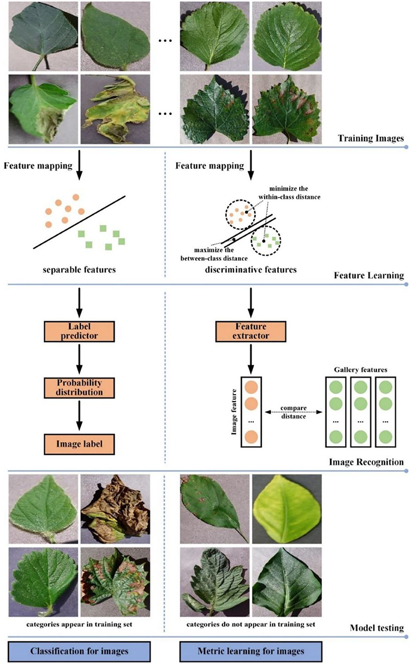 Illustration of the SAH classification categories from Nayak et al