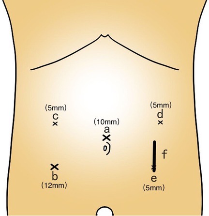 www.frontiersin.org