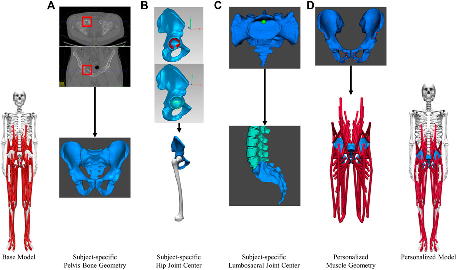 Differences in trunk and lower extremity muscle activity during