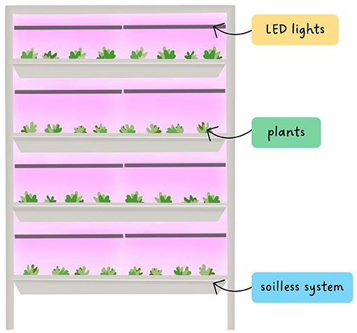 Figure 1 - In a vertical farming system, plants grow in trays stacked up on shelves.