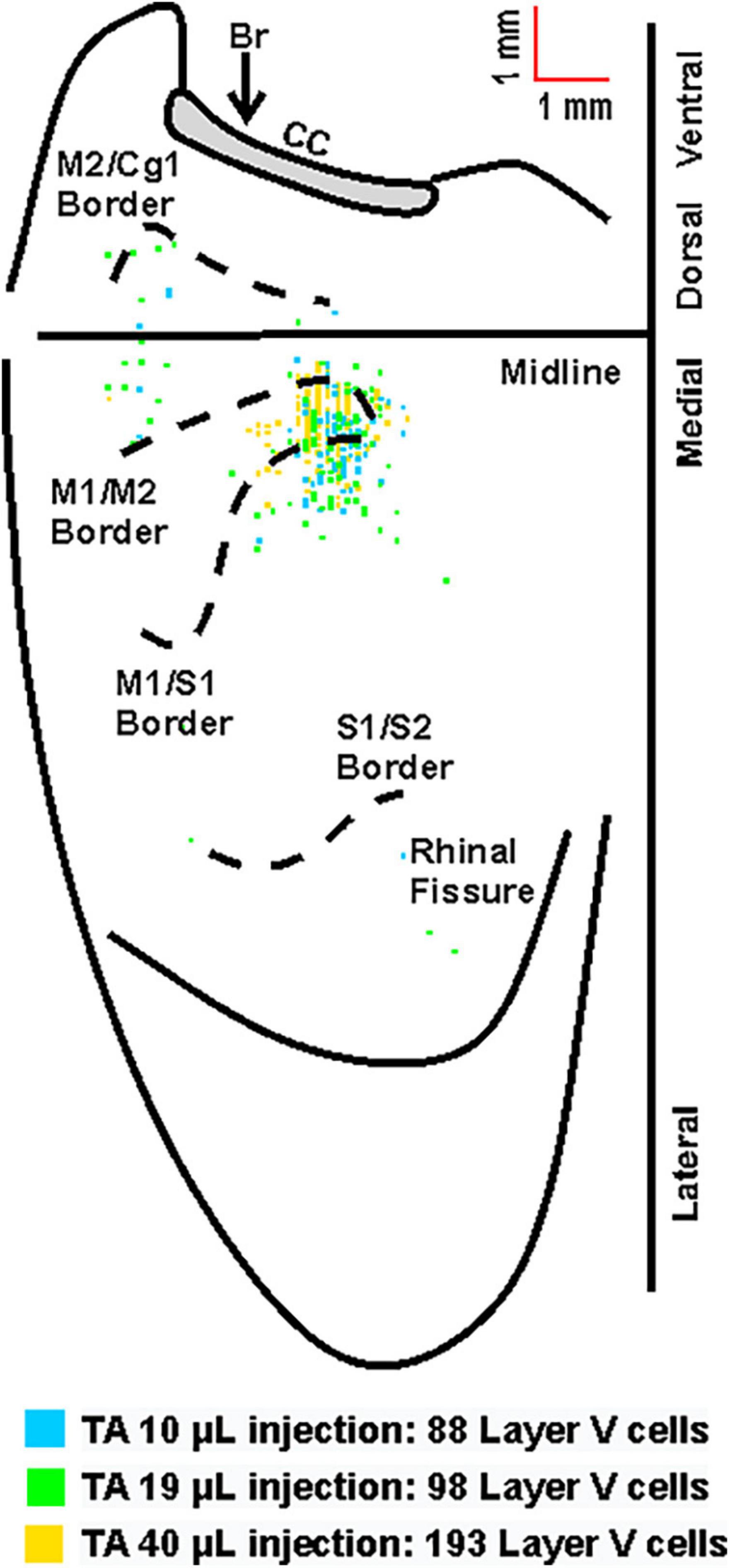 www.frontiersin.org