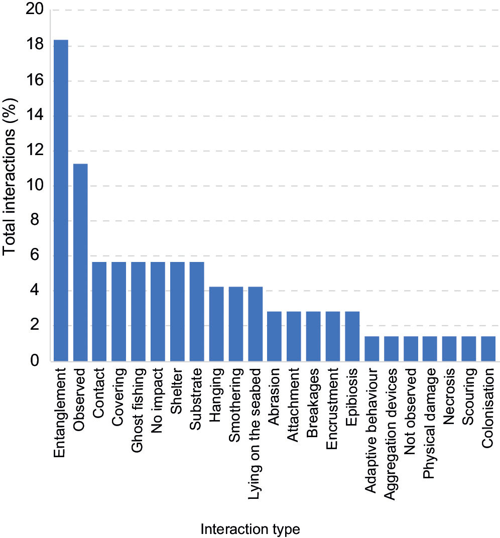 Frontiers  Marine litter in submarine canyons: A systematic review and  critical synthesis