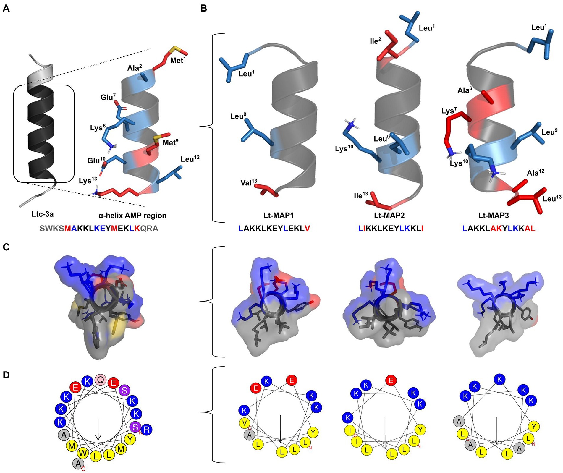 Frontiers | First generation of multifunctional peptides derived from latarcin-3a from Lachesana tarabaevi spider toxin