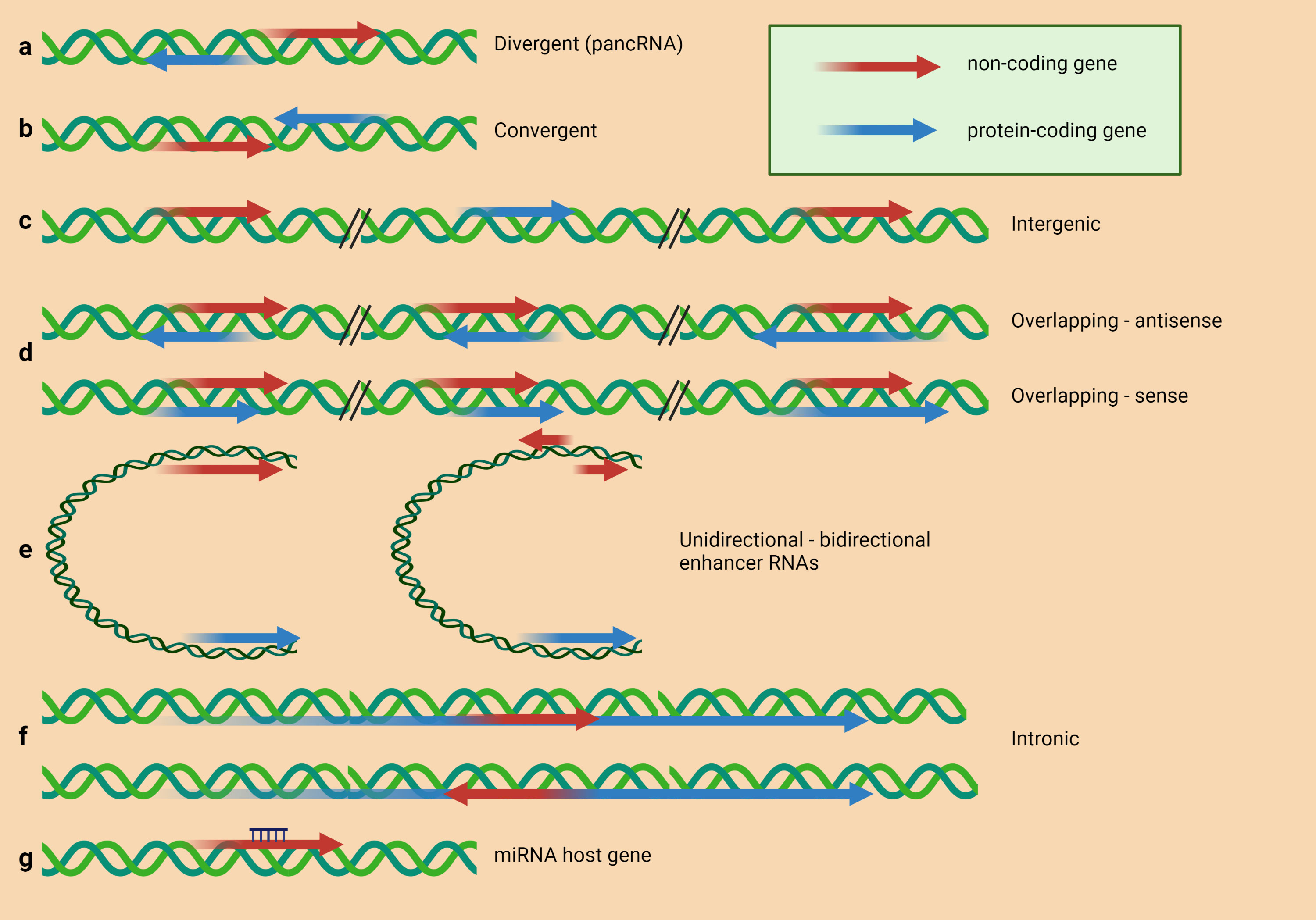 0 1 2 3 4 5 6 7 8 9 img src.ru  nudist contest Frontiers | Emerging role of lncRNAs in drug resistance mechanisms in head  and neck squamous cell carcinoma