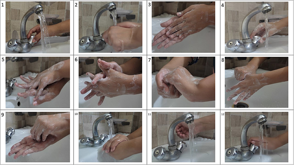 A Beginner's Guide: The Basic Hand Wash - ExoForma