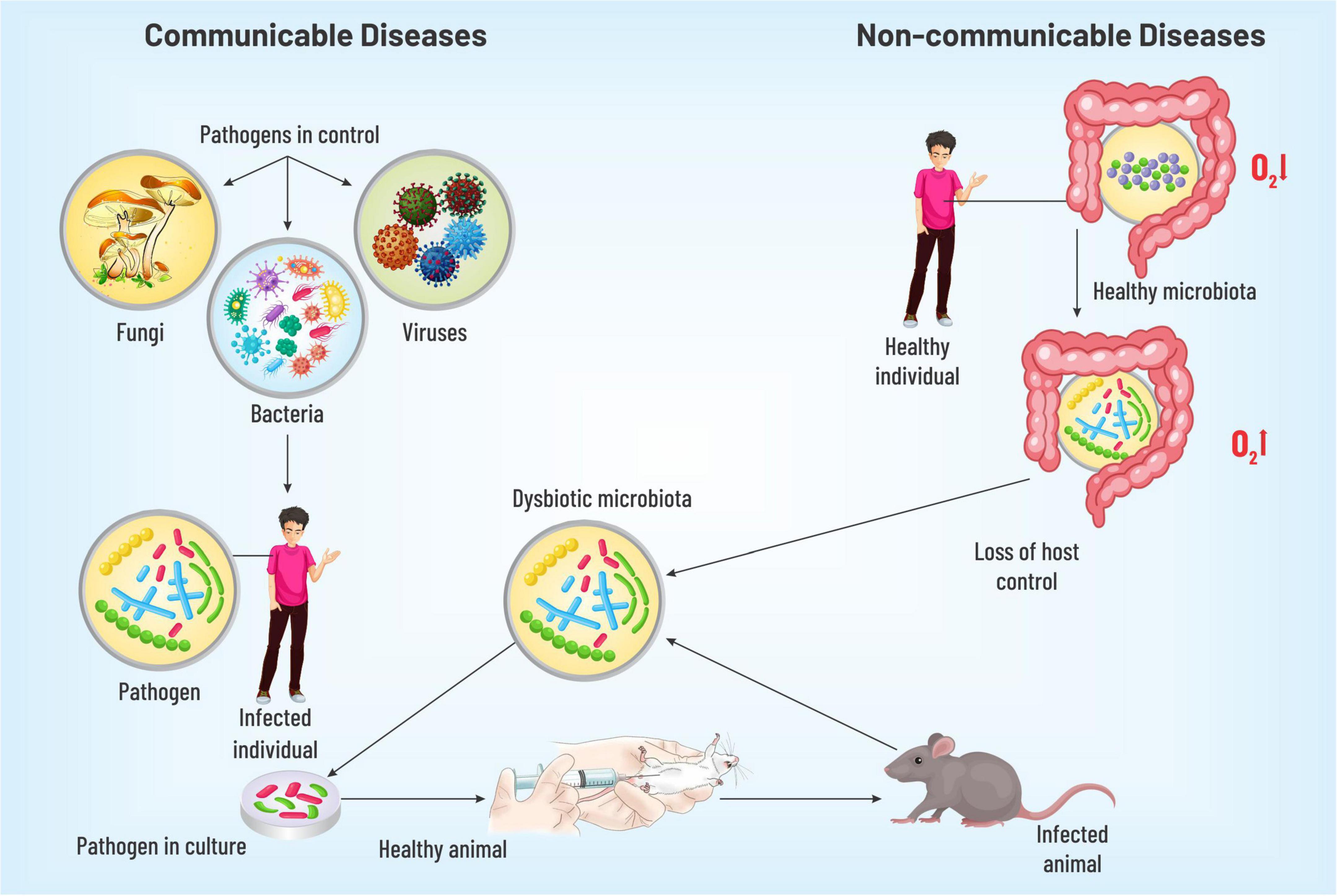 Communicable Vs Non communicable Diseases Definition 17 46 OFF