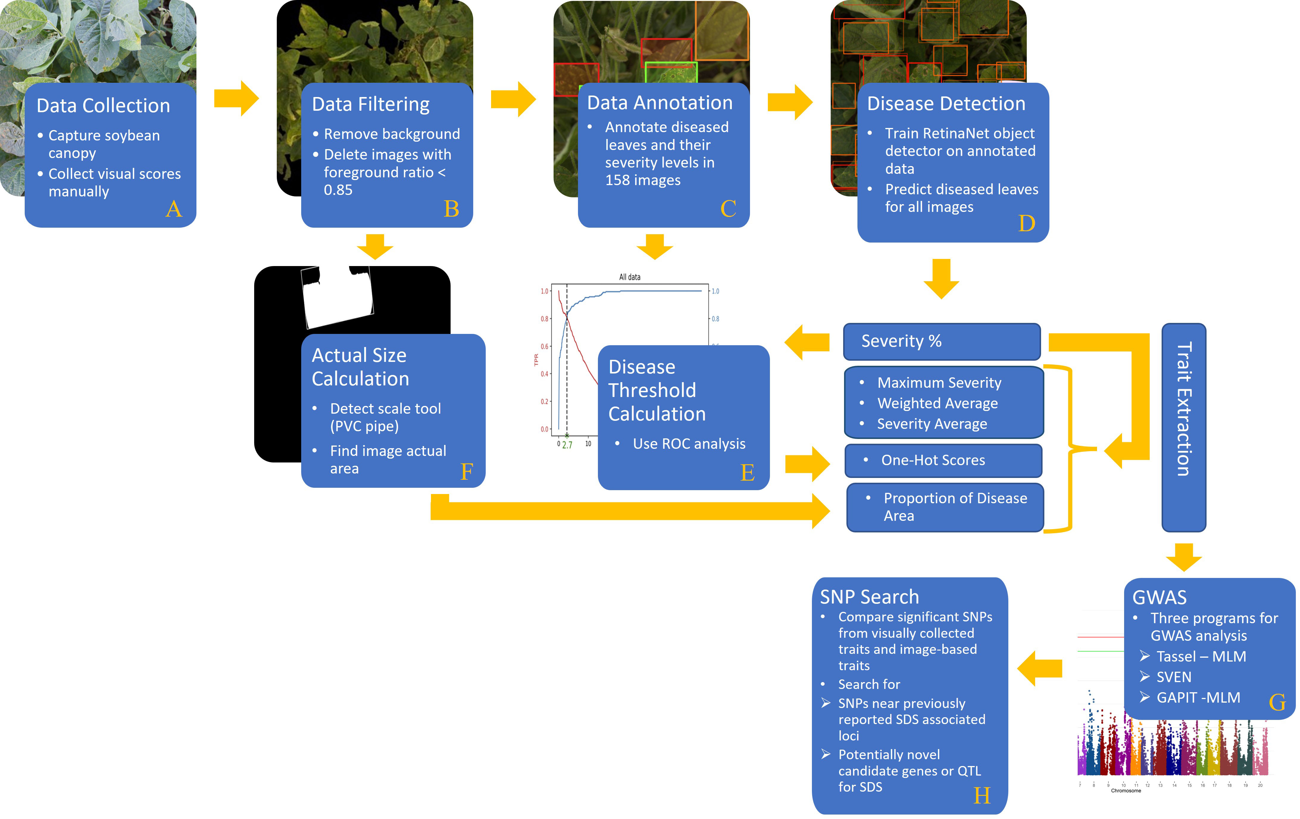 Frontiers  A Genome-Wide Association Study Identifies Candidate