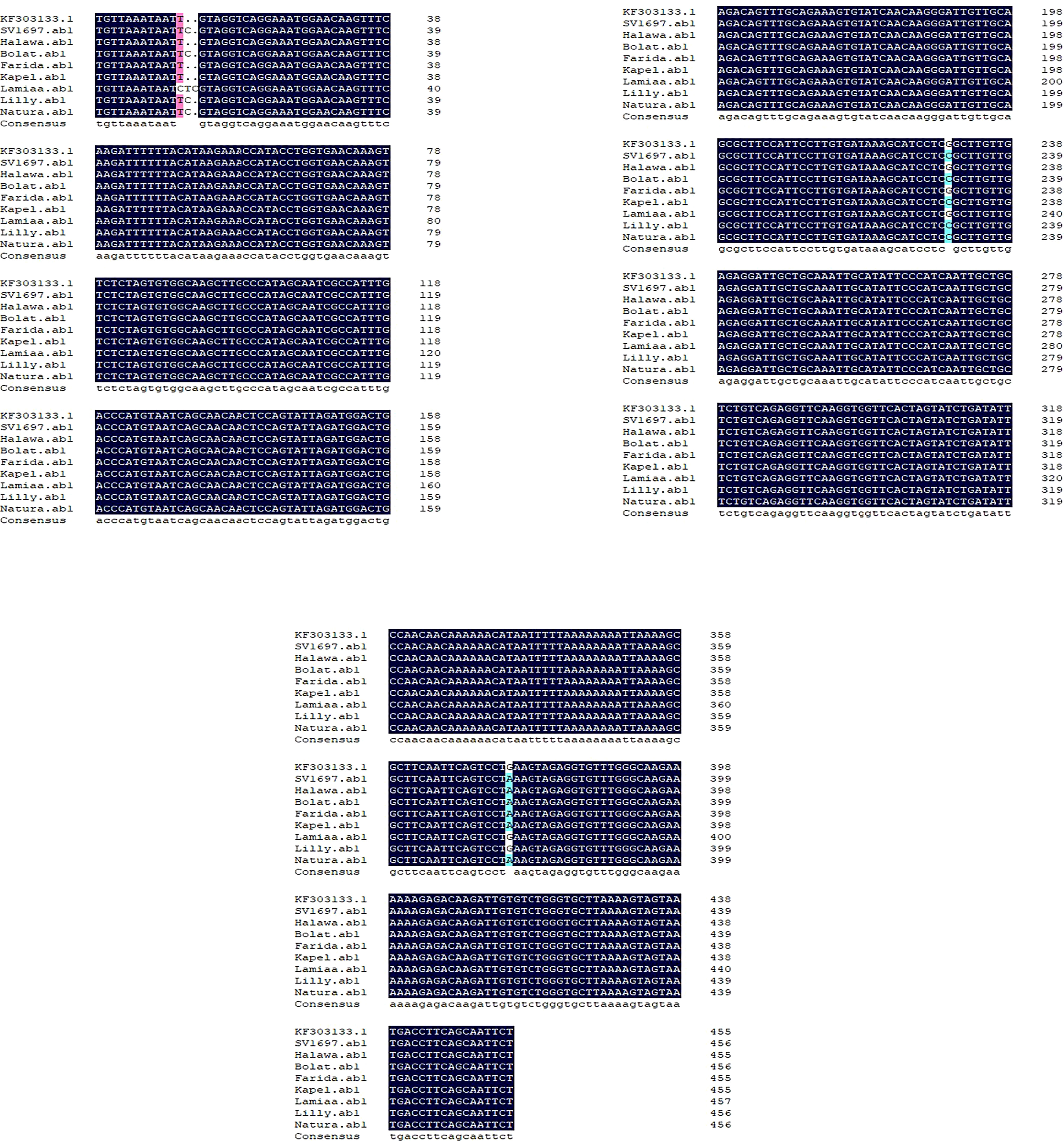 www.frontiersin.org