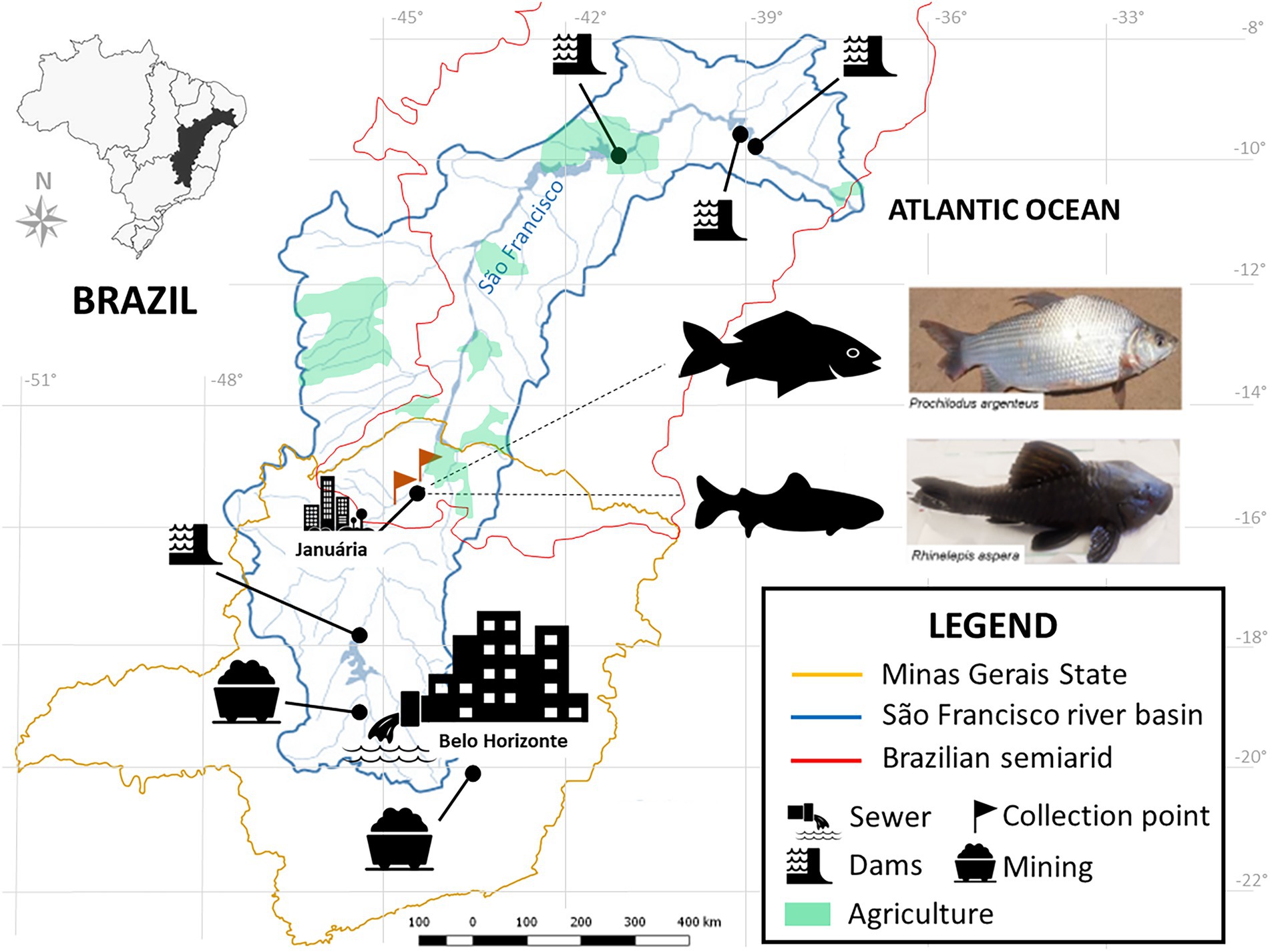 3 Distribution map of the nine toxic species of the genus