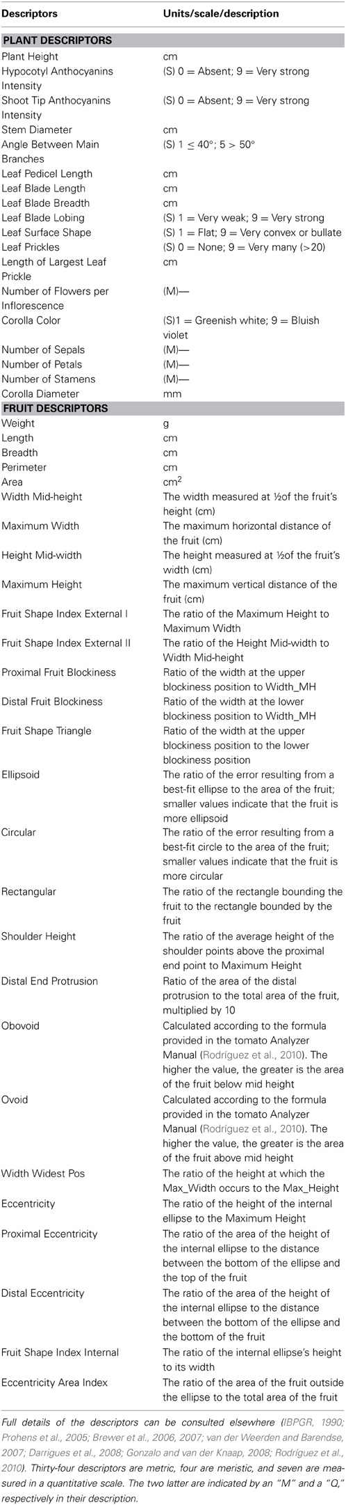 Representative fruits of each of the scarlet eggplant complex (S