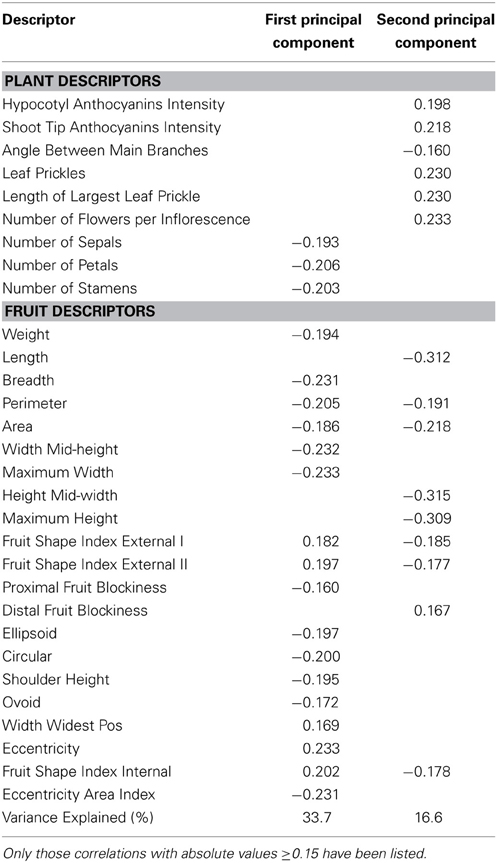 Diversity among accessions of scarlet eggplant complex (S. aethiopicum