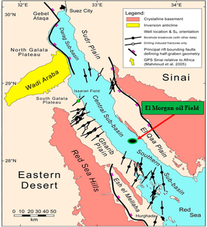 www.frontiersin.org
