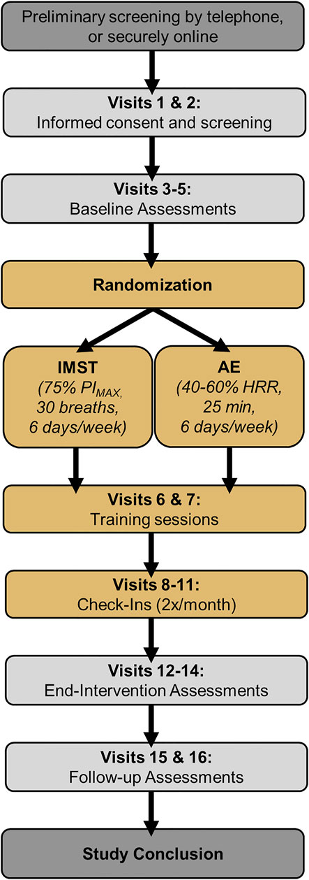 Frontiers  A single-set functional training program increases muscle  power, improves functional fitness, and reduces pro-inflammatory cytokines  in postmenopausal women: A randomized clinical trial