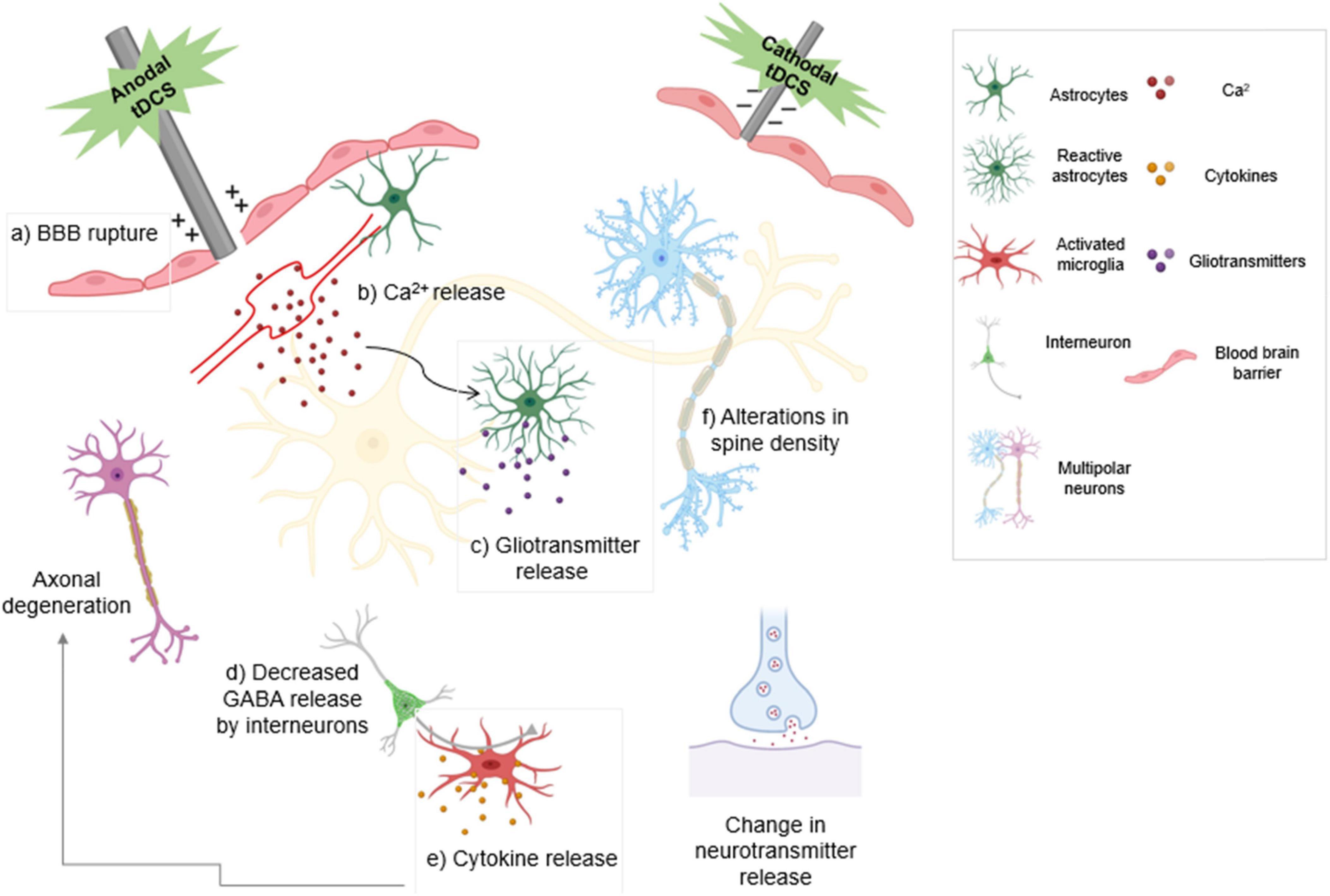 Frontiers  Safety and efficacy of electrical stimulation for