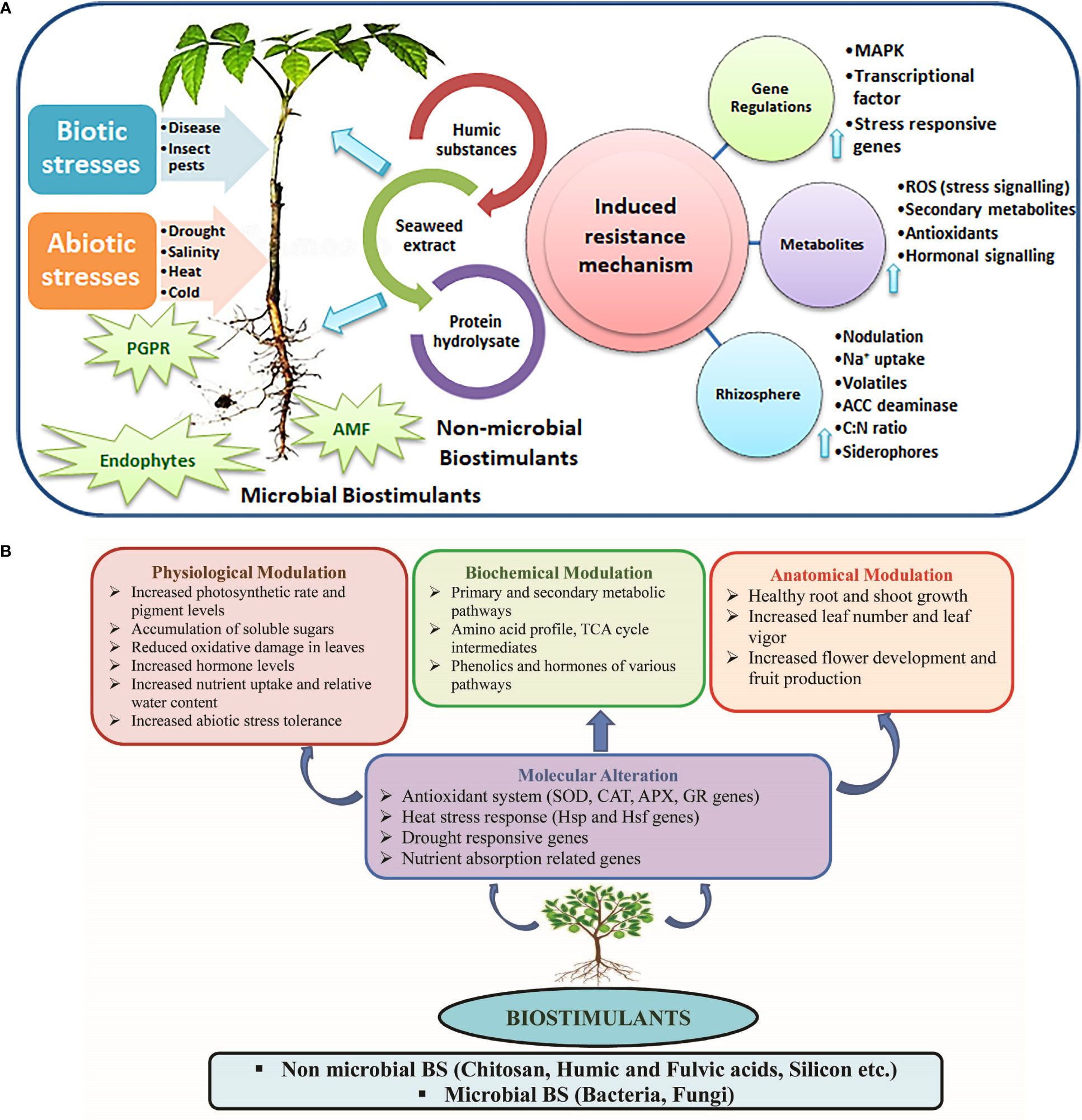 Horticulturae, Free Full-Text