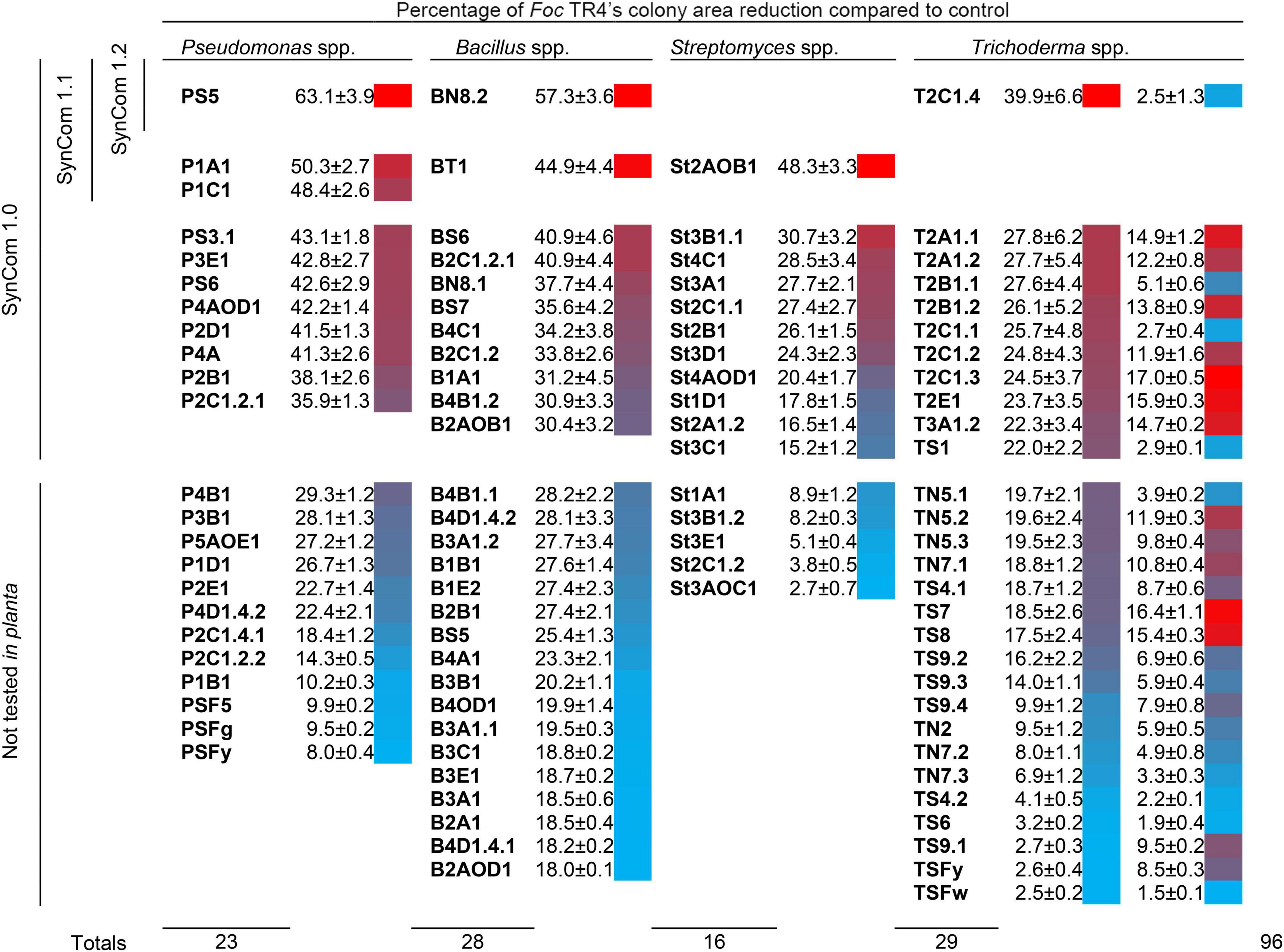 Frontiers Designing A Synthetic Microbial Community Devoted To Biological Control The Case Study Of Fusarium Wilt Of Banana