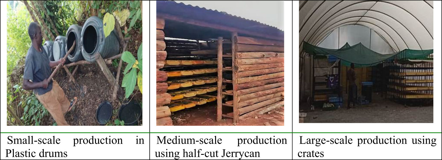 Frontiers  Insects as an alternative protein source for poultry