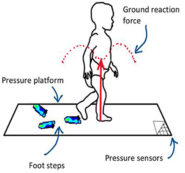 图1 -当婴儿走过压力平台时，会产生地面反作用力，平台上的传感器会测量每一步脚下的压力。