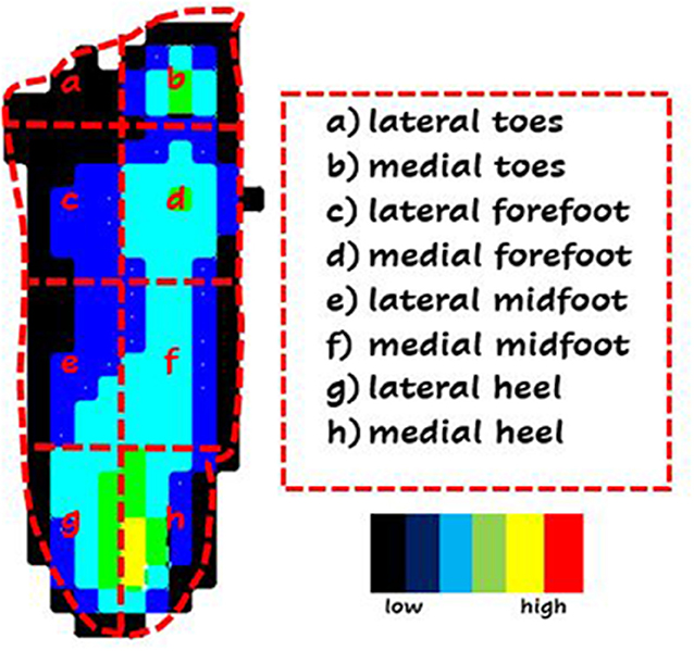Figure 2 - To analyse our data, we divided the foot up into eight regions and looked at the pressures in each.