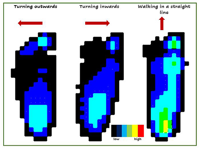 图3 -在一个自信地走路的婴儿中，不同的足部区域所承受的压力因走路的方向而异。