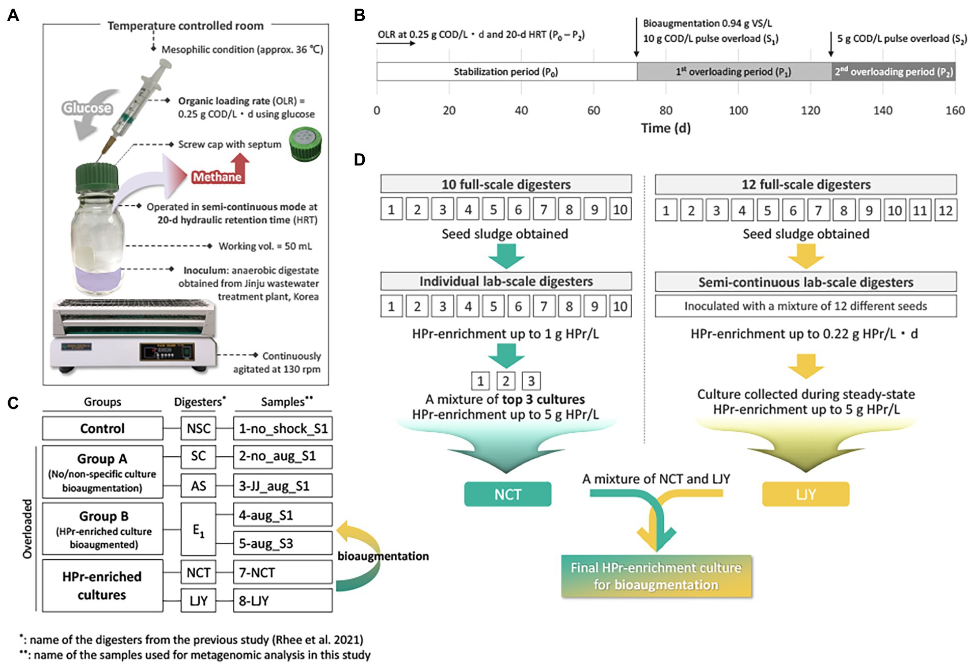 Effect of magnetite addition on transcriptional profiles of syntrophic  Bacteria and Archaea during anaerobic digestion of propionate in wastewater  sludge - Dyksma - 2022 - Environmental Microbiology Reports - Wiley Online  Library