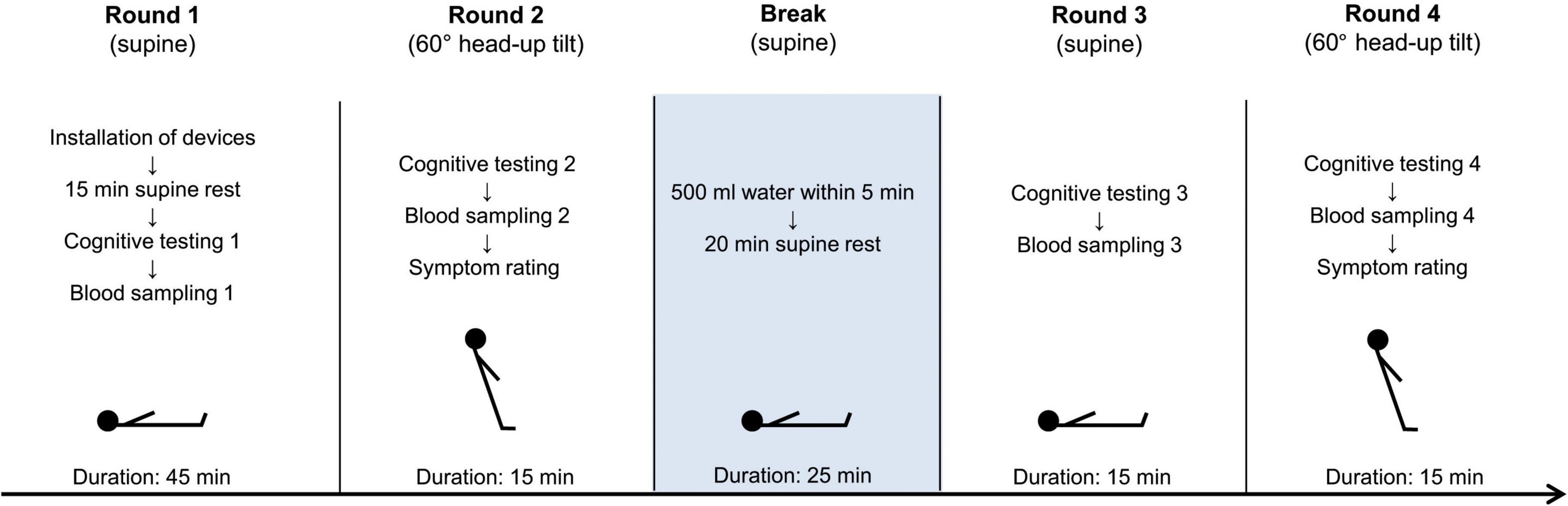 Frontiers  Brain fog in neuropathic postural tachycardia syndrome may be  associated with autonomic hyperarousal and improves after water drinking