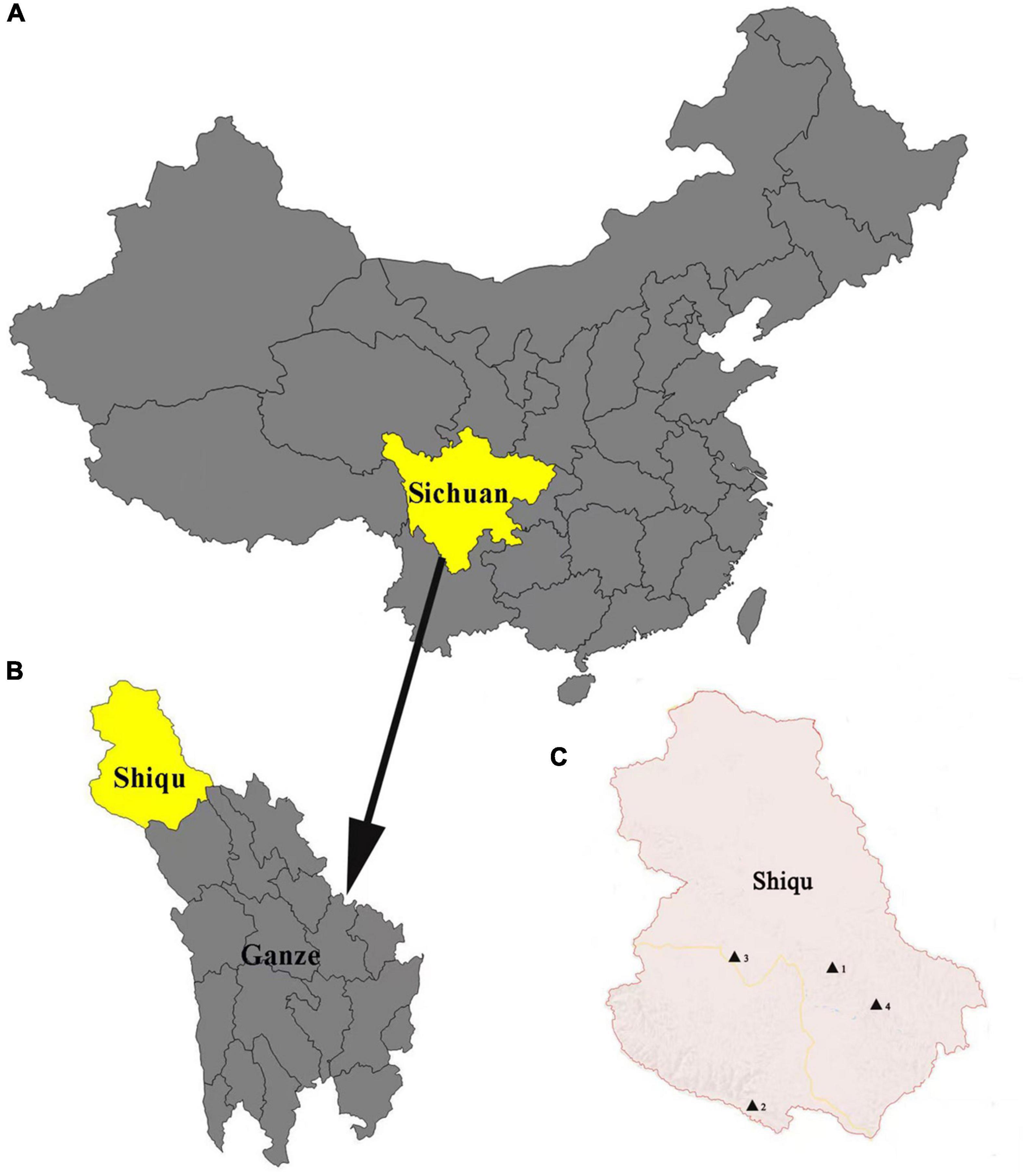 www.frontiersin.org
