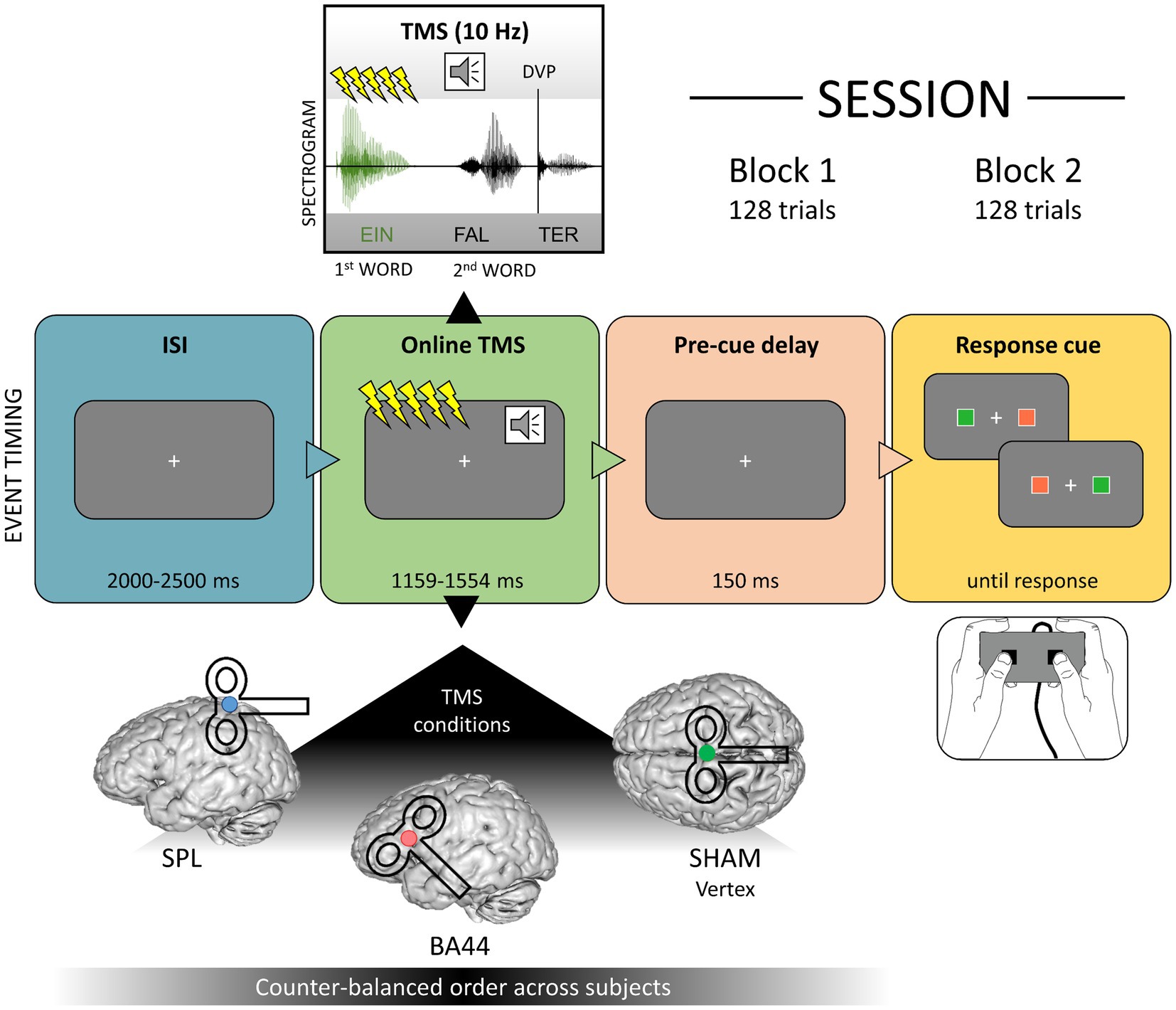 Frontiers  Online neurostimulation of Broca's area does not