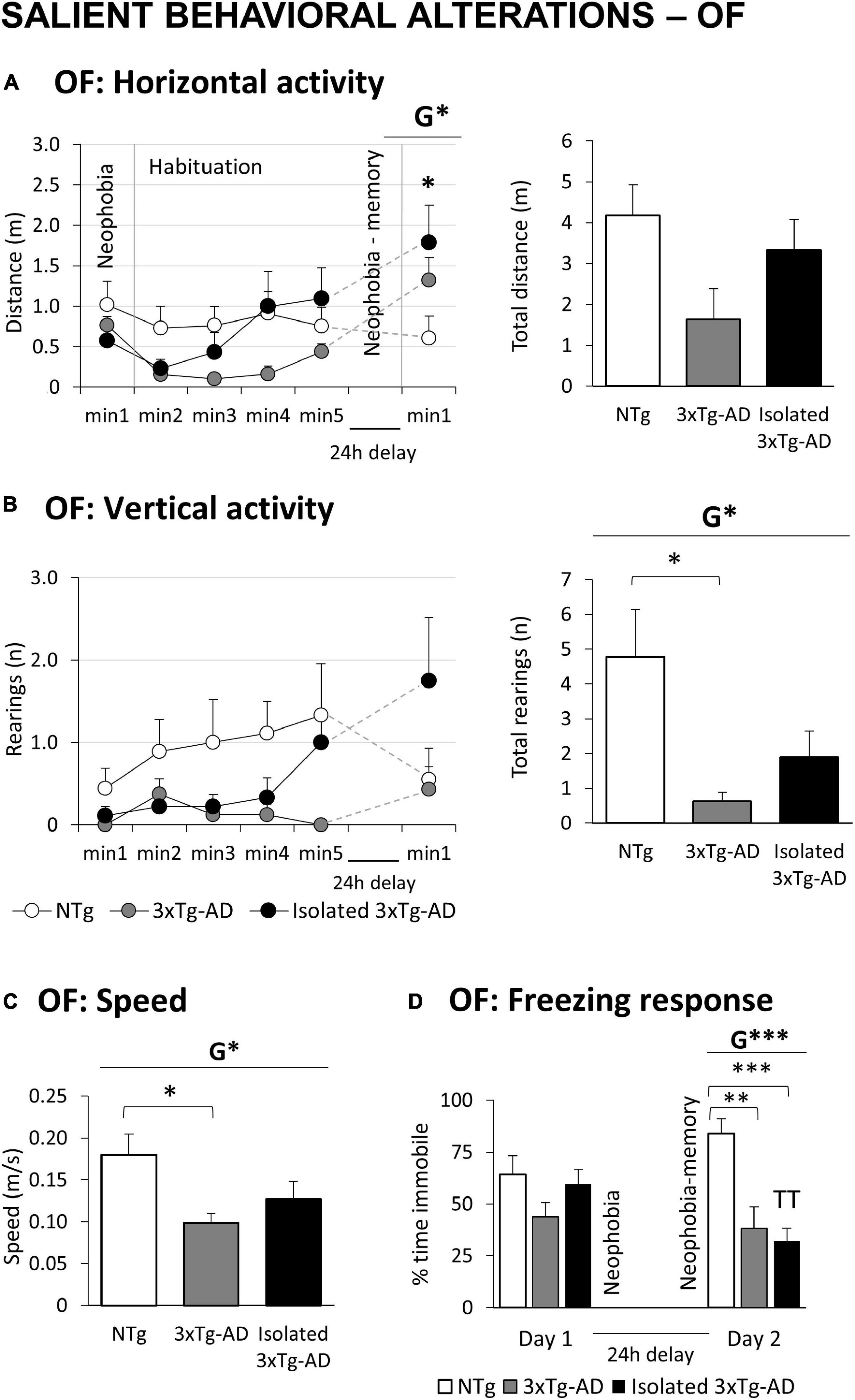 Lonely or Alone? Revealing the Fine Line - Neuroscience News