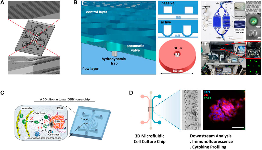 Frontiers  Engineering Breast Cancer On-chip—Moving Toward
