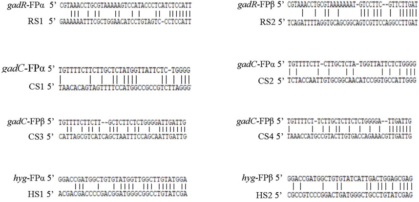 Single Specific Primer-Polymerase Chain Reaction (SSP-PCR) and Genome  Walking