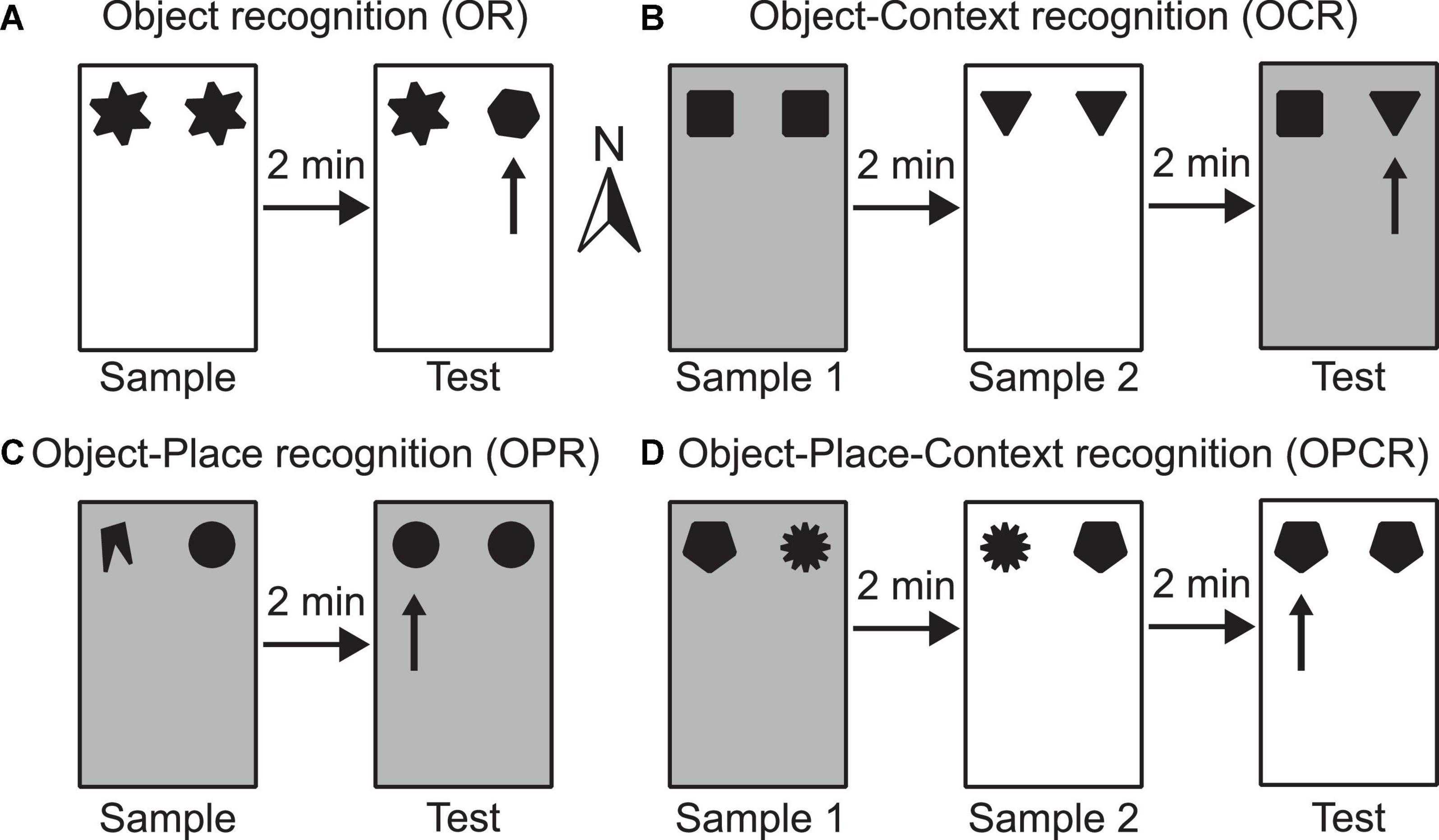 A behavioral comparison of the common laboratory rat strains Lister Hooded,  Lewis, Fischer 344 and Wistar in an automated homecage system - Clemens -  2014 - Genes, Brain and Behavior - Wiley Online Library